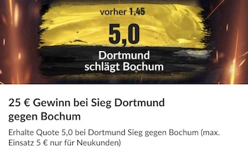 borussia dortmund vfl bochum bildbet