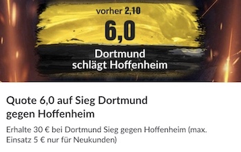 bundesliga bvb hoffenheim bildbet