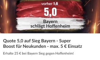 bildbet hoffenheim bayern