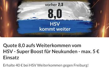 HSV Aufstieg Freiburg DFB Pokal Bildbet